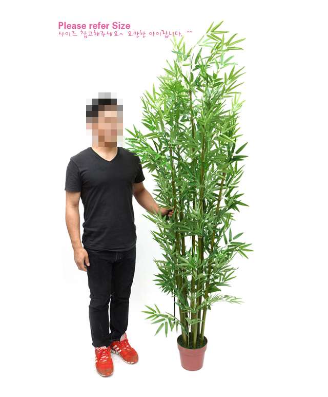 더리얼스 엠데코:대한민국 대표 플라워 종합쇼핑몰 [더리얼스 엠데코] 인조 대나무 청죽 인조목 화분 210cm 실내 조경 장식 플랜테리어... 
